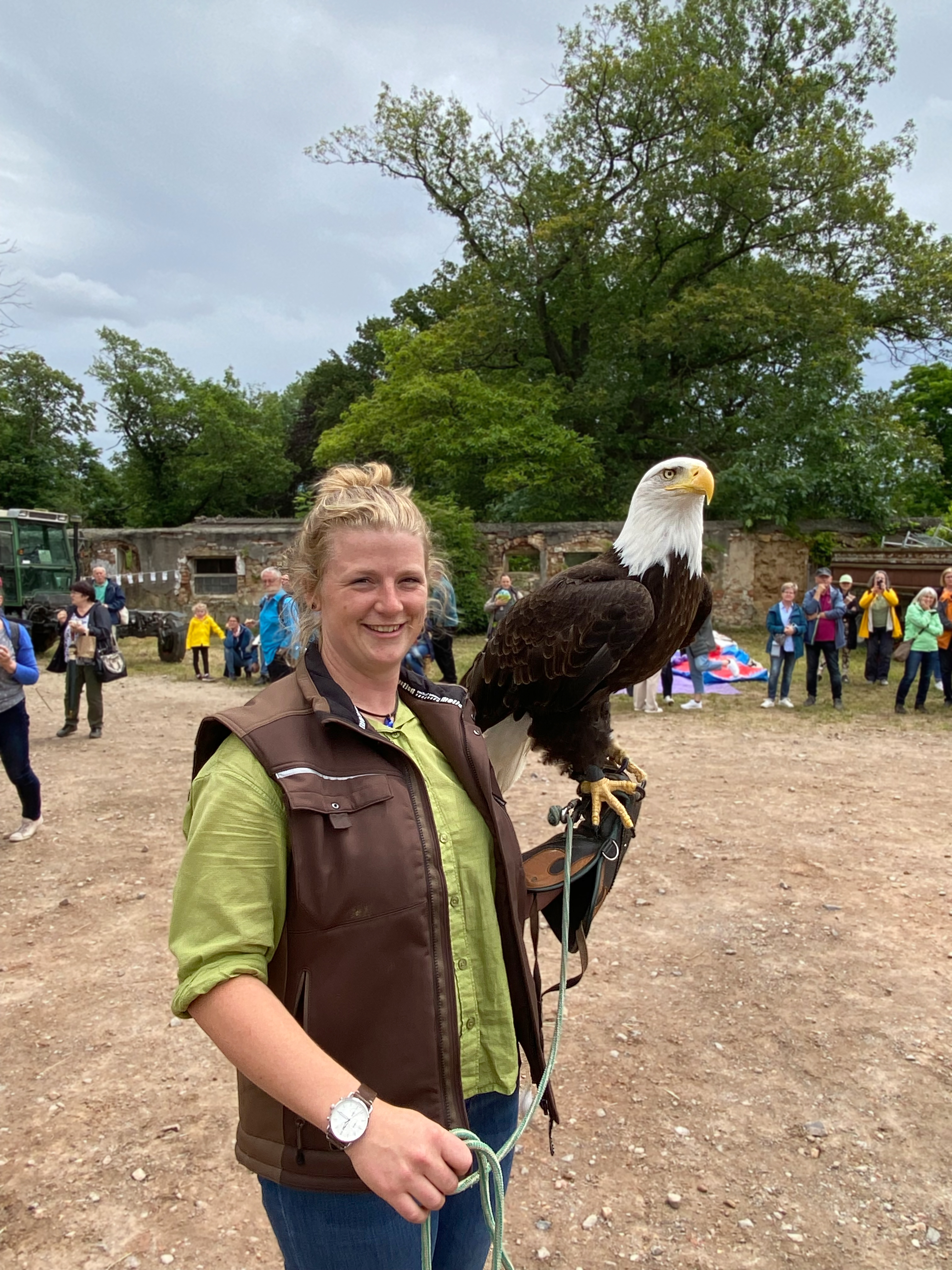 2025_Raubvogel_Hoffest