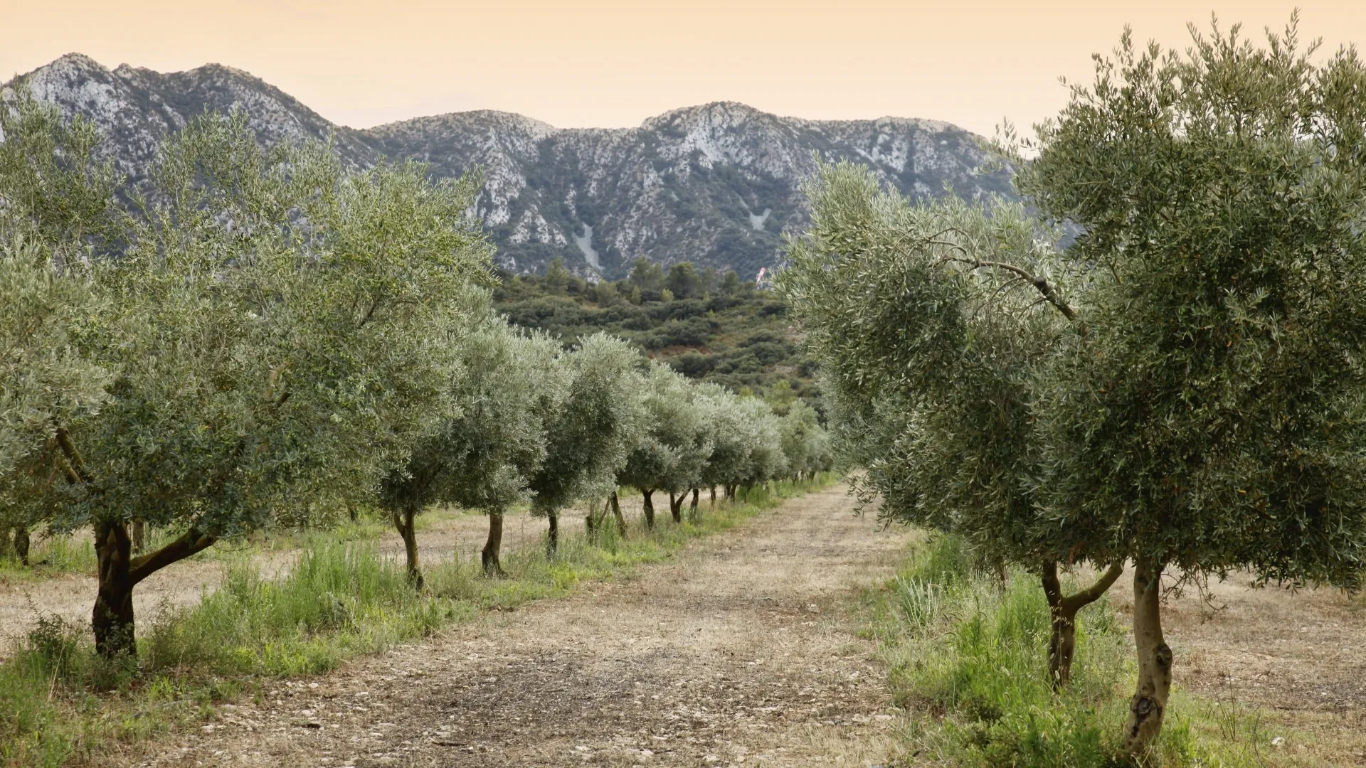 _MG_4886-5616x3160-1920x1080