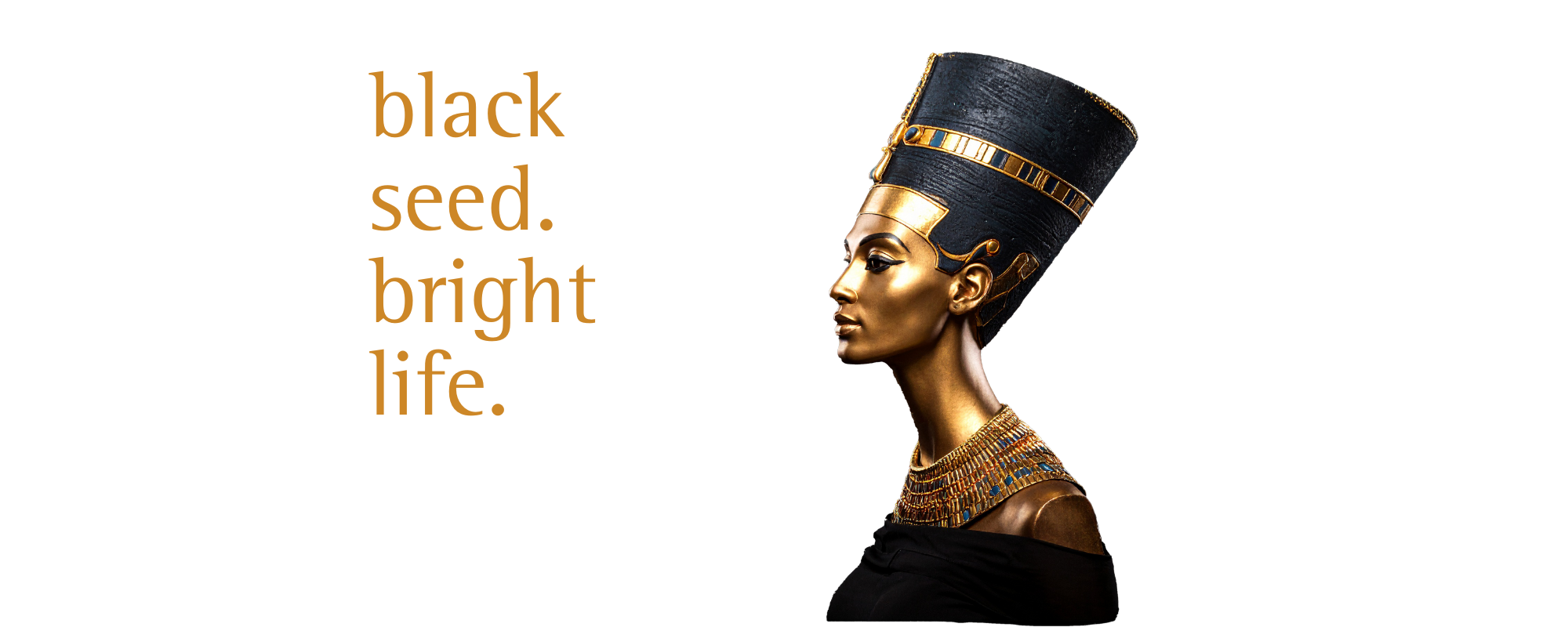 blackseedbright life