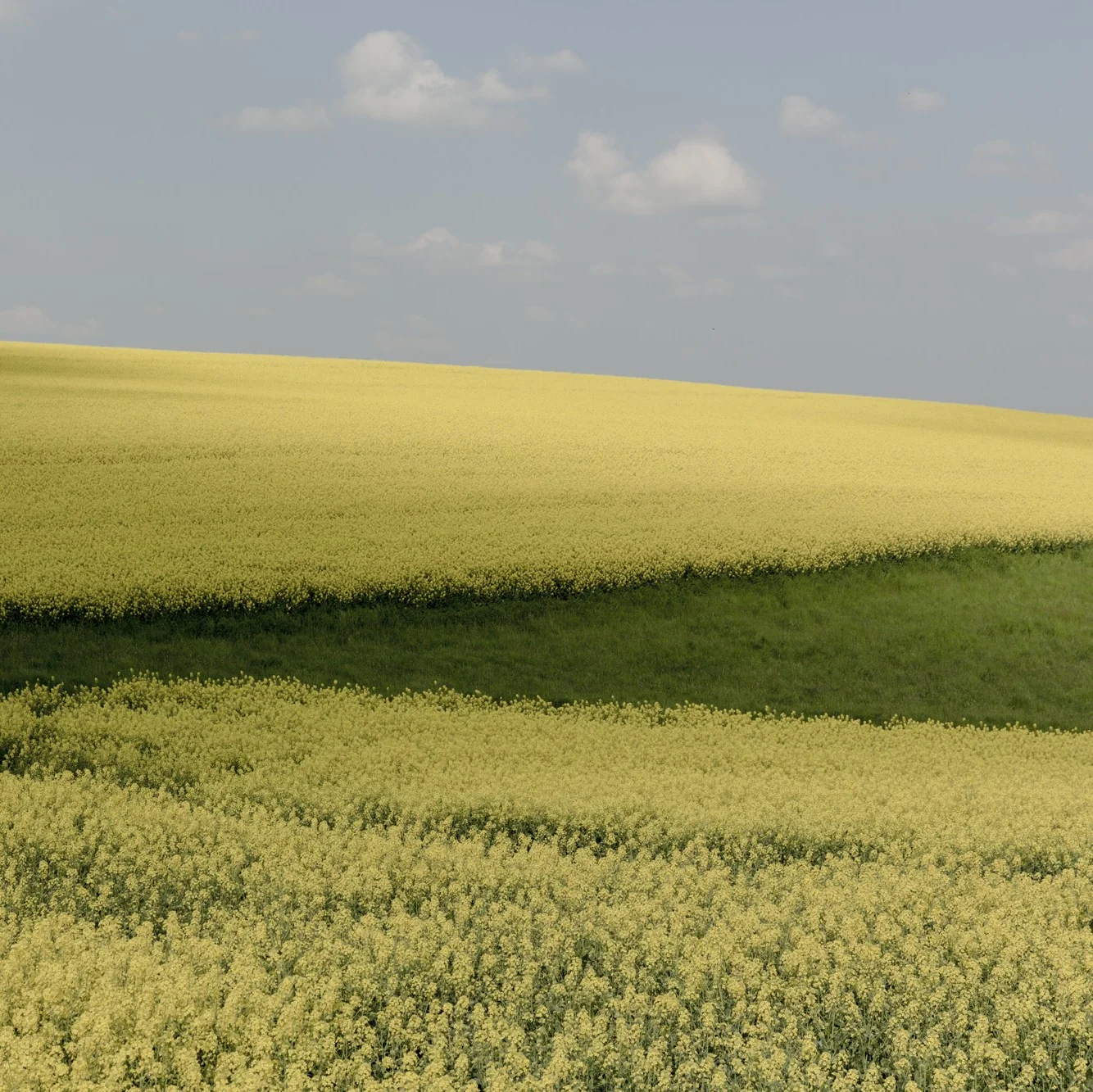 _JP_2899_pastelldeep-1334x1333