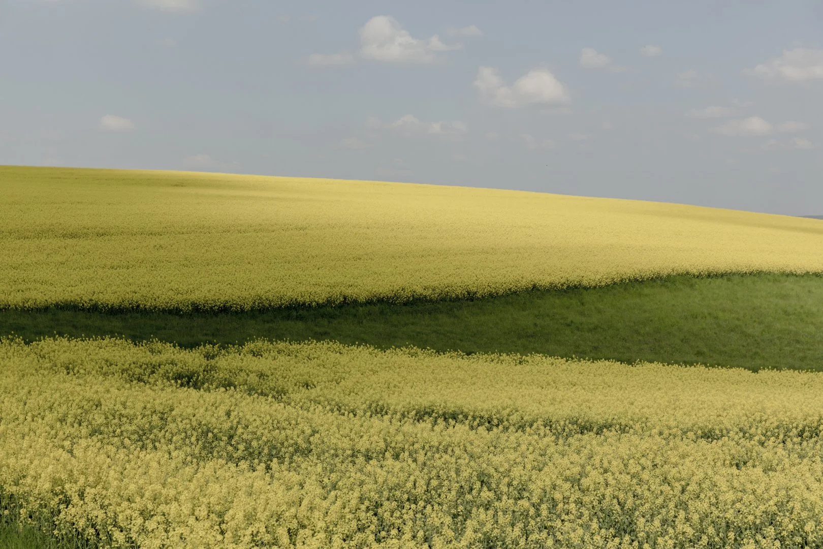 JP_2899_pastelldeep-1620x1080