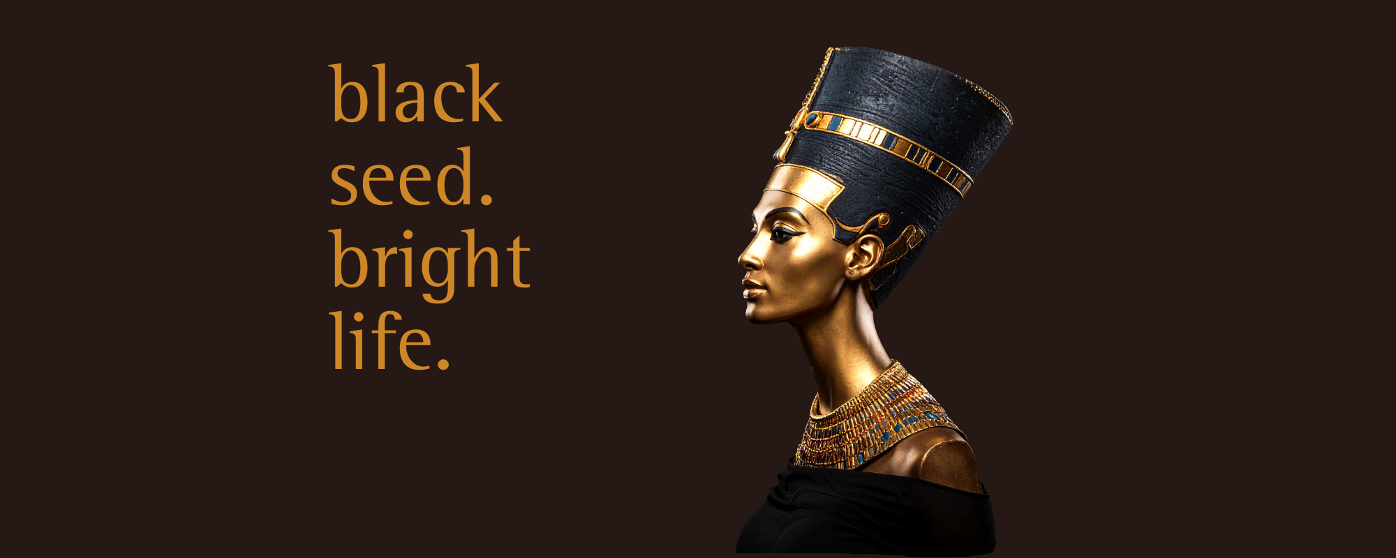 black seed_bright life_black