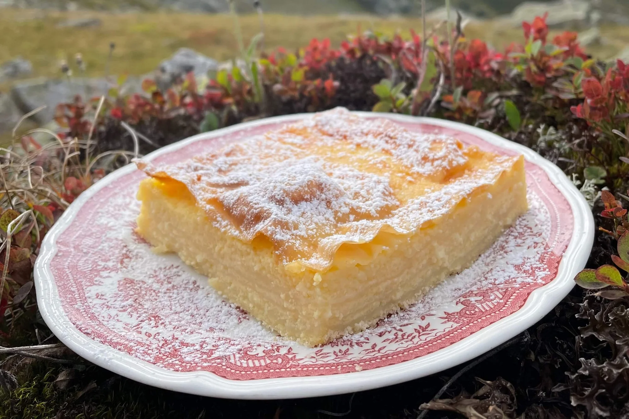 Topfenstrudel mit BIO PLANETE Sonnenblumenöl nativ